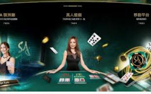 188bet金宝搏